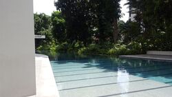 Ardmore Residence (D10), Condominium #284919641